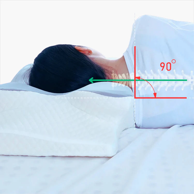 💤 Derila Ergo™ Nackenstützkissen aus Memory-Schaum – 2-in-1 ergonomische Nackenstütze für alle Schlaftypen 